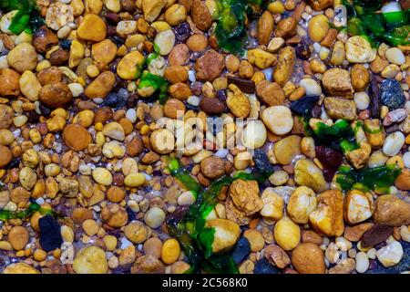 Nasse Kieselsteine und Algen am Strand. Abstrakter Hintergrund. Nahaufnahme. Stockfoto