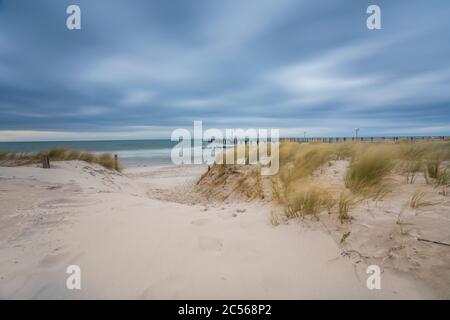 Ostseeküste mit Strandgras im Winter Stockfoto