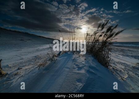 Ostseeküste mit Strandgras im Abendlicht, Winter Stockfoto