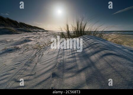 Ostseeküste mit Strandgras im Abendlicht, Winter Stockfoto