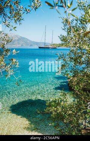 Sommerurlaub in Griechenland. Luxuriöse Privatyacht in der Lagune am Meer, umrahmt von einem alten Olivenbaum. Stockfoto