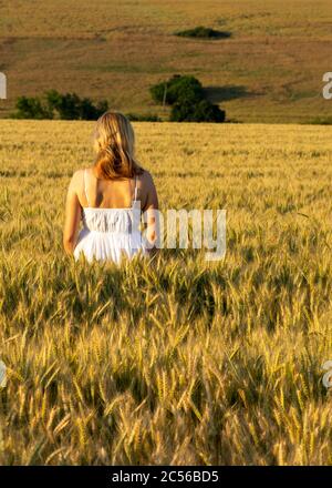 Junge Frau in weißem Kleid steht im Gerstenfeld. Romantischer Blick auf junge attraktive Frau im Gerstenfeld während der goldenen Stunde Zeit. Stockfoto