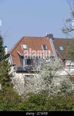 Moderne Mehrfamilienhäuser, Mehrfamilienhäuser im Frühjahr, Bremen, Deutschland, Europa Stockfoto