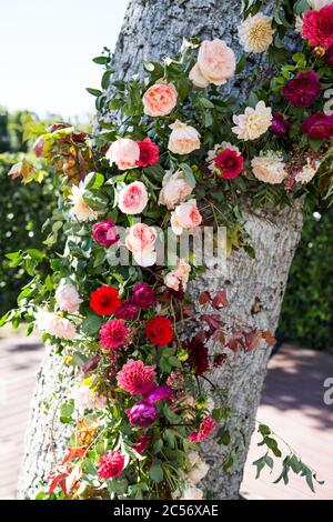 Riesige Kranz von vielen rosa Rosen schmücken die Dicker Stamm eines Baumes Stockfoto