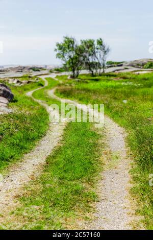 Landschaft auf Ramsviklandet, Naturschutzgebiet in Bohuslan, Schweden Stockfoto