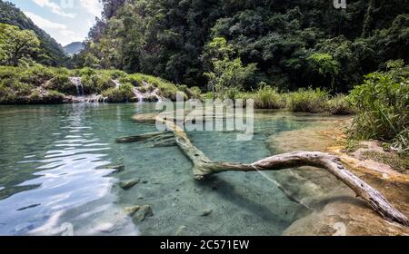 Mittelamerika, Quatemala, Nationalpark, Semuc Champey Stockfoto