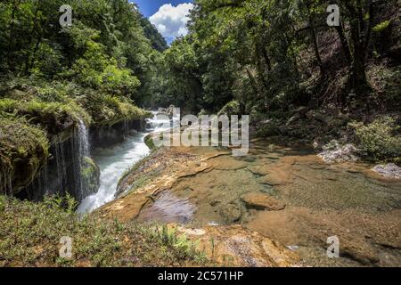 Mittelamerika, Quatemala, Nationalpark, Semuc Champey Stockfoto