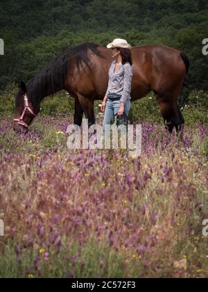 Weibliche Westernreiterin mit weißem Hut steht bei Kastanienstute grasen in Lavendelwiese. Stockfoto