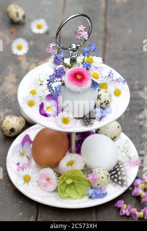 osterdekoration mit Frühlingsblumen in Ei auf dem abgestuften Kuchenständer Stockfoto