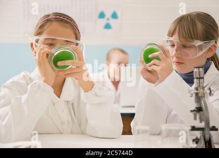 Junior High School Mädchen Studenten mit Petrischalen in der Wissenschaft Labor Stockfoto