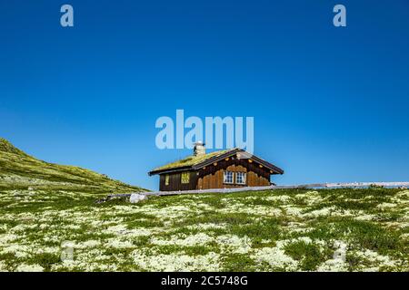 Blockhütte im Rondane Nationalpark, Norwegen Stockfoto