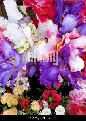 Lebendige mehrfarbige Iris und Rosen Stockfoto