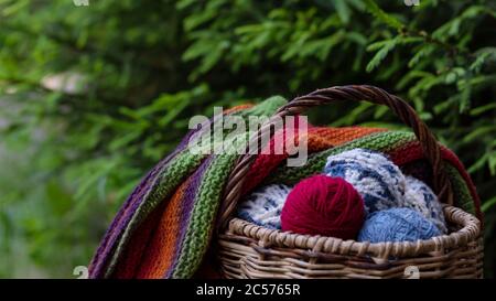 Bunte Kugeln aus Strickgarn in einem Korb auf einem Hintergrund von grünen Zweigen der Fichte. Horizontales Poster mit Platz für Kopien. Garn zum Stricken. Stockfoto