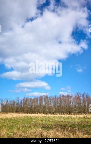 Swidwie Naturschutzgebiet Landschaft an einem sonnigen Tag, Polen. Stockfoto
