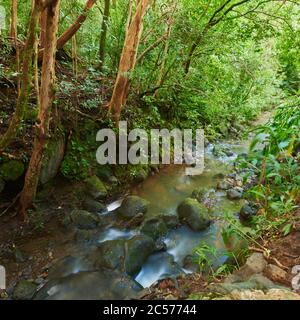 Lulumahu Falls im Honolulu Wasserscheide Waldreservat, Hawaiianische Insel Oahu, O'ahu, Hawaii, Aloha State, USA Stockfoto