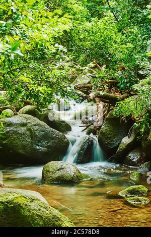 Lulumahu Falls im Honolulu Wasserscheide Waldreservat, Hawaiianische Insel Oahu, O'ahu, Hawaii, Aloha State, USA Stockfoto