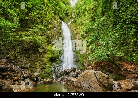 Lulumahu Falls im Honolulu Wasserscheide Waldreservat, Hawaiianische Insel Oahu, O'ahu, Hawaii, Aloha State, USA Stockfoto