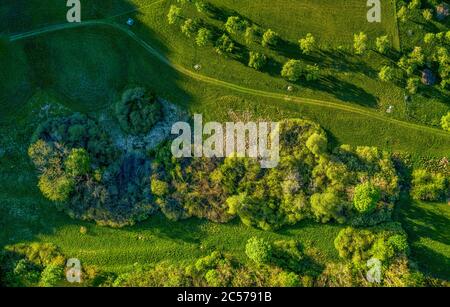 Drohne schoss auf einem grünen Landweg durch grasbewachsene Wiesen, wo Sie einen gesunden Spaziergang an der frischen Luft genießen können. Stockfoto