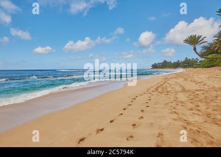 Strandlandschaft am Sunset Beach auf Oahu, Nordküste, Oahu Island, Oahu, Hawaii, Aloha State, USA Stockfoto