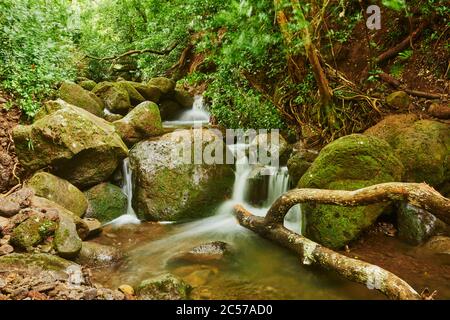 Lulumahu Falls im Honolulu Wasserscheide Waldreservat, Hawaiianische Insel Oahu, O'ahu, Hawaii, Aloha State, USA Stockfoto