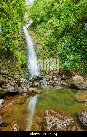 Lulumahu Falls im Honolulu Wasserscheide Waldreservat, Hawaiianische Insel Oahu, O'ahu, Hawaii, Aloha State, USA Stockfoto