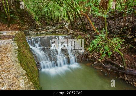 Lulumahu Falls im Honolulu Wasserscheide Waldreservat, Hawaiianische Insel Oahu, O'ahu, Hawaii, Aloha State, USA Stockfoto