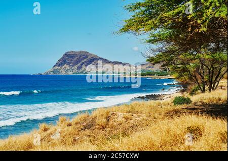 Strandlandschaft im Kahe Point Beach Park, Hawaiian Island of Oahu, Oahu, Hawaii, Aloha State, USA Stockfoto