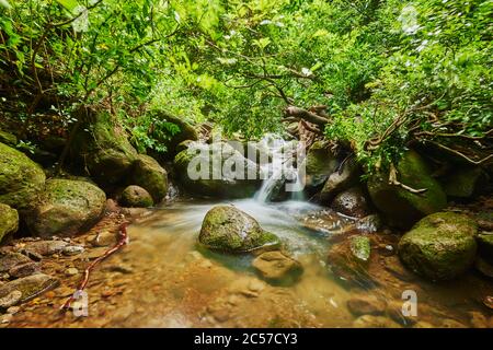 Lulumahu Falls im Honolulu Wasserscheide Waldreservat, Hawaiianische Insel Oahu, O'ahu, Hawaii, Aloha State, USA Stockfoto