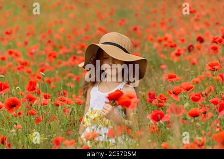 Liebenswert Mädchen 6 Jahre alt in einem hellen Mohn Feld. Portrait eines niedlichen Mädchens mit langen lockigen Haaren gegen das Sommerfeld voller roter Mohnblumen. Stockfoto