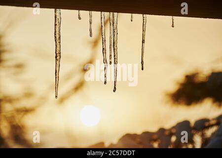 Eiszapfen hängen an einer Rinne, Bayernnwald, Bayern, Deutschland Stockfoto