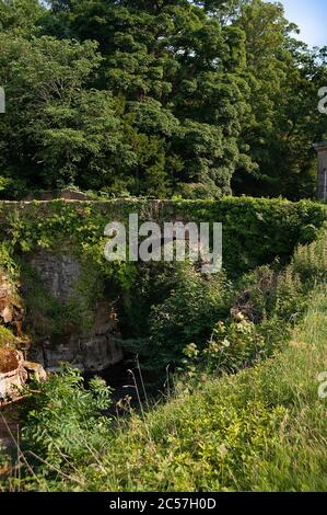 River Greta, Rokeby, County Durham Stockfoto