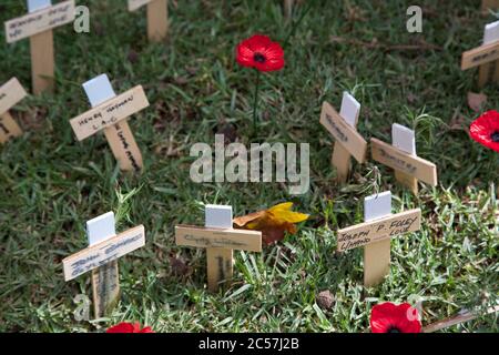 Im ANZAC Field of Remembrance in der St. Andrew’s Cathedral in Sydney wurden Kreuze neben Mohnblumen gepflanzt, um an die Gefallenen zu erinnern Stockfoto