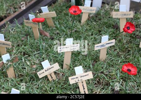 Im ANZAC Field of Remembrance in der St. Andrew’s Cathedral in Sydney wurden Kreuze neben Mohnblumen gepflanzt, um an die Gefallenen zu erinnern Stockfoto