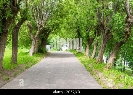 Asphaltierte Straßen zwischen Bäumen und grünem Gras, leere Straßen im Dorfbereich mit Sträuchern und Bäumen an der Seite. Konzept von Reisen und Tourismus. Stockfoto