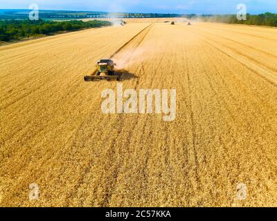 Luftdrohnenansicht: Mähdrescher arbeiten im Weizenfeld bei Sonnenuntergang. Erntemaschine Fahrer Schneiden Ernte in Ackerland. Ökologischer Landbau Stockfoto