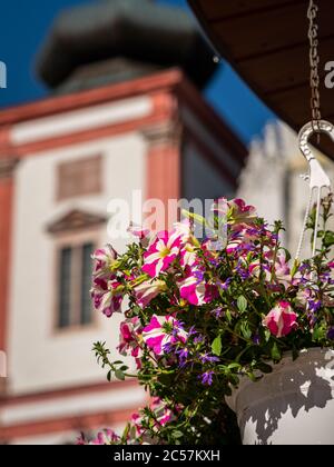 Blumen vor der Basilika der Geburt der Jungfrau Maria in Mariazell (Österreich) Stockfoto