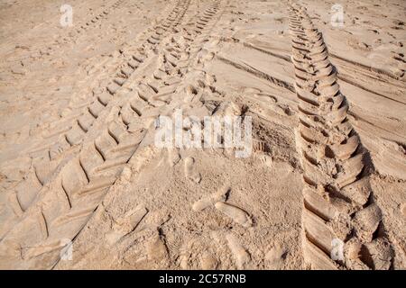 Gleise von einem Raupentraktor im Sand Stockfoto