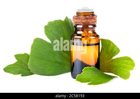 Auszug aus dem Ginkgo. Eine Flasche Ginko ätherisches Öl mit frischen Blättern - Schönheitsbehandlung. Stockfoto