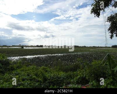 Kambodschanische Küche, Traditionen und Natur. Stadt Siem Reap und Vororte. Ungewöhnliche Ferien. Stockfoto