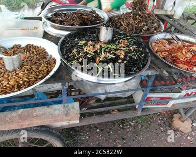 Kambodschanische Küche, Traditionen und Natur. Stadt Siem Reap und Vororte. Ungewöhnliche Ferien. Stockfoto