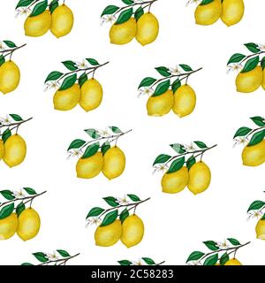 Leuchtend gelbe Zitronen auf Zweig nahtlose Muster, Aquarell Obst Dekoration, Zitrone Obst Muster Design für Verpackung, Stoff oder Hintergründe Stockfoto