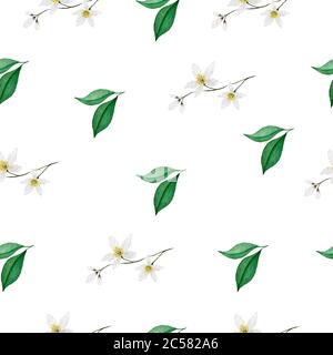 Grüne Blätter und weiße Blumen nahtlose Hintergrund, Frühjahr und Sommer Aquarell botanische Illustration, helles Design für Verpackung, Stoff Stockfoto