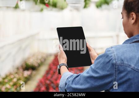 Innovation in der Landwirtschaft. afroamerikanische Mädchen steuert Funktionen des Gewächshauses mit Tablette Stockfoto