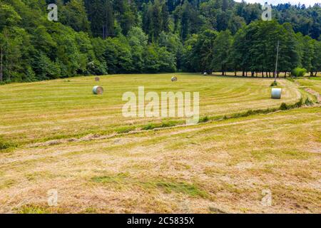 Landwirt Ernte Heu auf dem Rasen mit grünen Wald herum, Luftbild Stockfoto