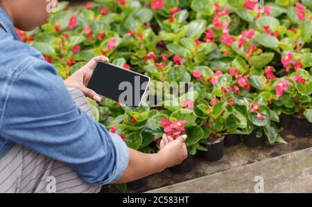 Blumengeschäft, E-Marketing und moderne Geräte. afroamerikanische Mädchen macht Fotos, Blumen in Töpfen Stockfoto