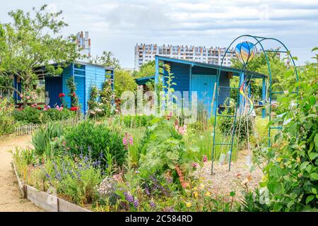 Frankreich, Maine et Loire, Angers, Belle Beille District, Balzac Park, Gemüsegärten in den Angers Familiengärten, Hütten // Frankreich, Maine-et-Loire (49 Stockfoto