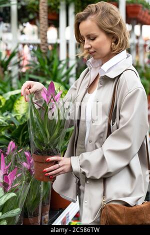 Gartenarbeit, Pflanzkonzept. Hübsche Frau, die Bromeliade Pflanze für ihr Haus/Wohnung im Gewächshaus oder Gartencenter wählt. Stockfoto