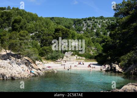 Sandy Cove mit Strand & Pinien im Calanque Port-Pin Calanques Nationalpark Cassis Provence Frankreich Stockfoto