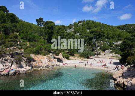 Sandy Cove mit Strand & Pinien im Calanque Port-Pin Calanques Nationalpark Cassis Provence Frankreich Stockfoto