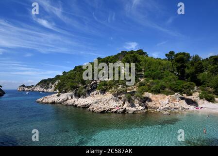 Calanque Port-Pin & Pine Trees in Fjord-like Cove des Calanques National Park Cassis Provence Frankreich Stockfoto